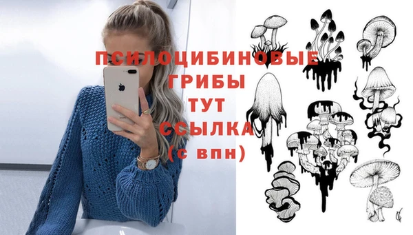 кокаин перу Бородино