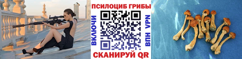 Купить закладки  Белинский  Псилоцибиновые грибы прущие грибы 